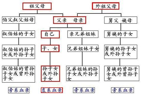 長輩關係圖|中國傳統的「輩分」文化：長輩、平輩和晚輩三者親戚。